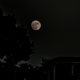 Illustration for article titled My Super Moon Pic